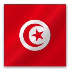 Tunisia New Regulation: Decree 48-2020